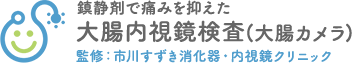 千葉県市川市市川駅徒歩1分の苦痛のない大腸カメラ（大腸内視鏡検査）｜内視鏡専門医｜駅近｜日曜｜女性医師