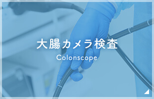 大腸カメラ検査