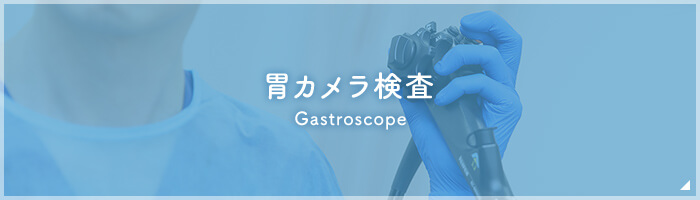 胃カメラ検査