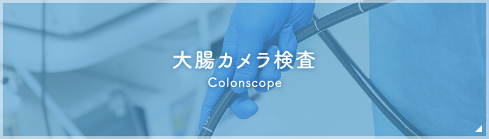 大腸カメラ検査